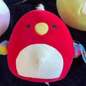 SQUISHMALLOW- Paco the Toucan - 8” - BNWT